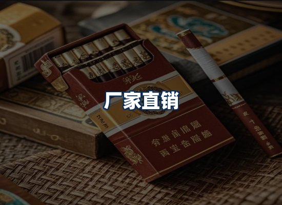 专业团队办公环境